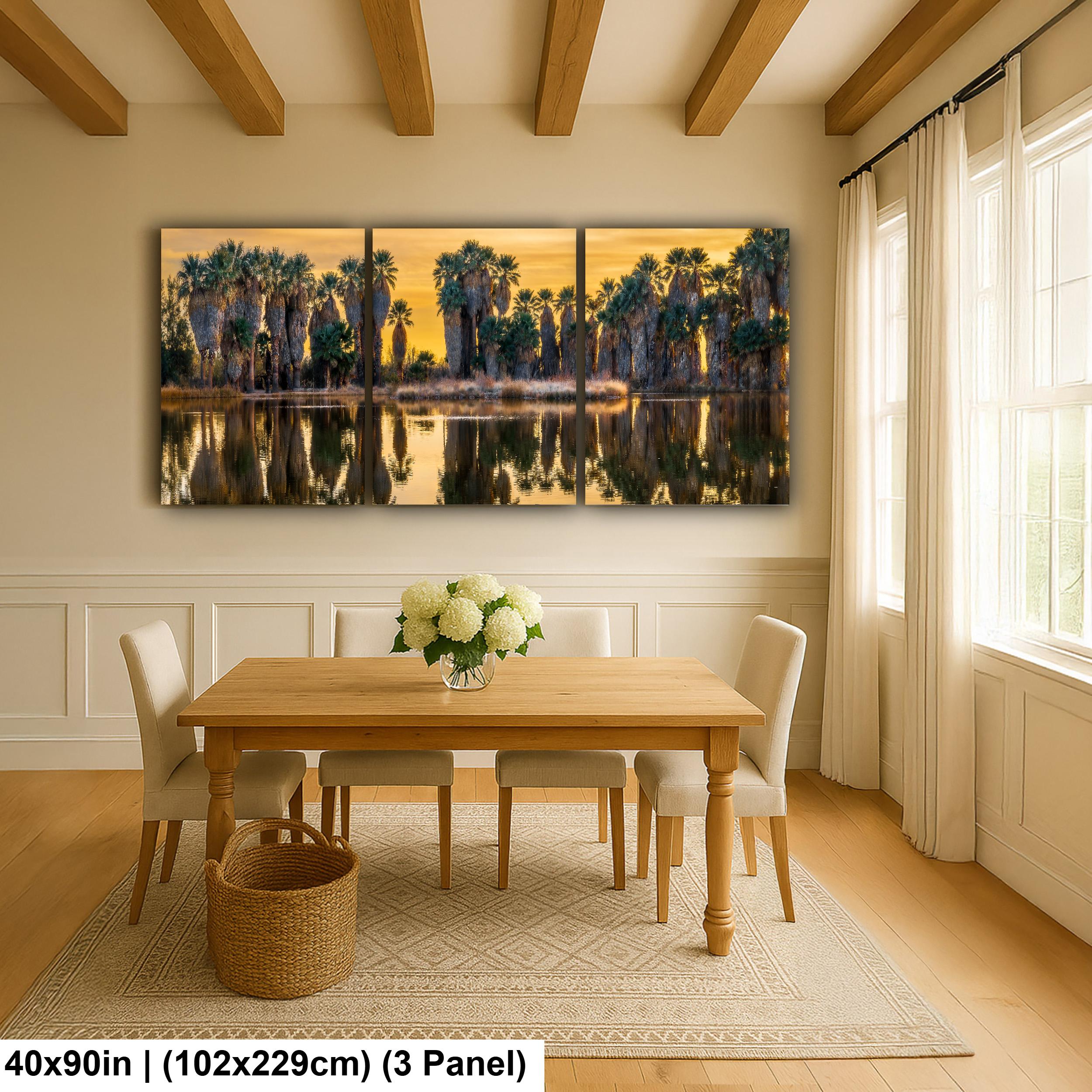 Agua Caliente Park Palm Oasis at Sunset - Tucson Arizona Reflection Photography Print