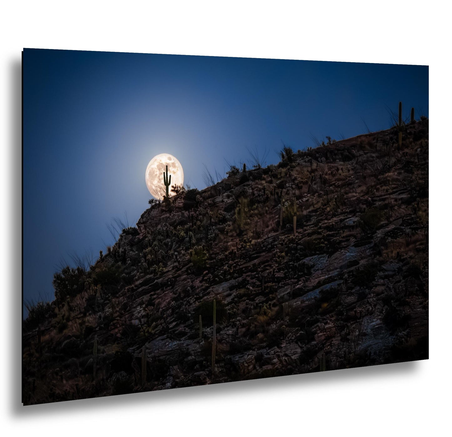 Full Moon Rising over Saguaro Ridge, Tucson Arizona Desert Landscape Photography Print