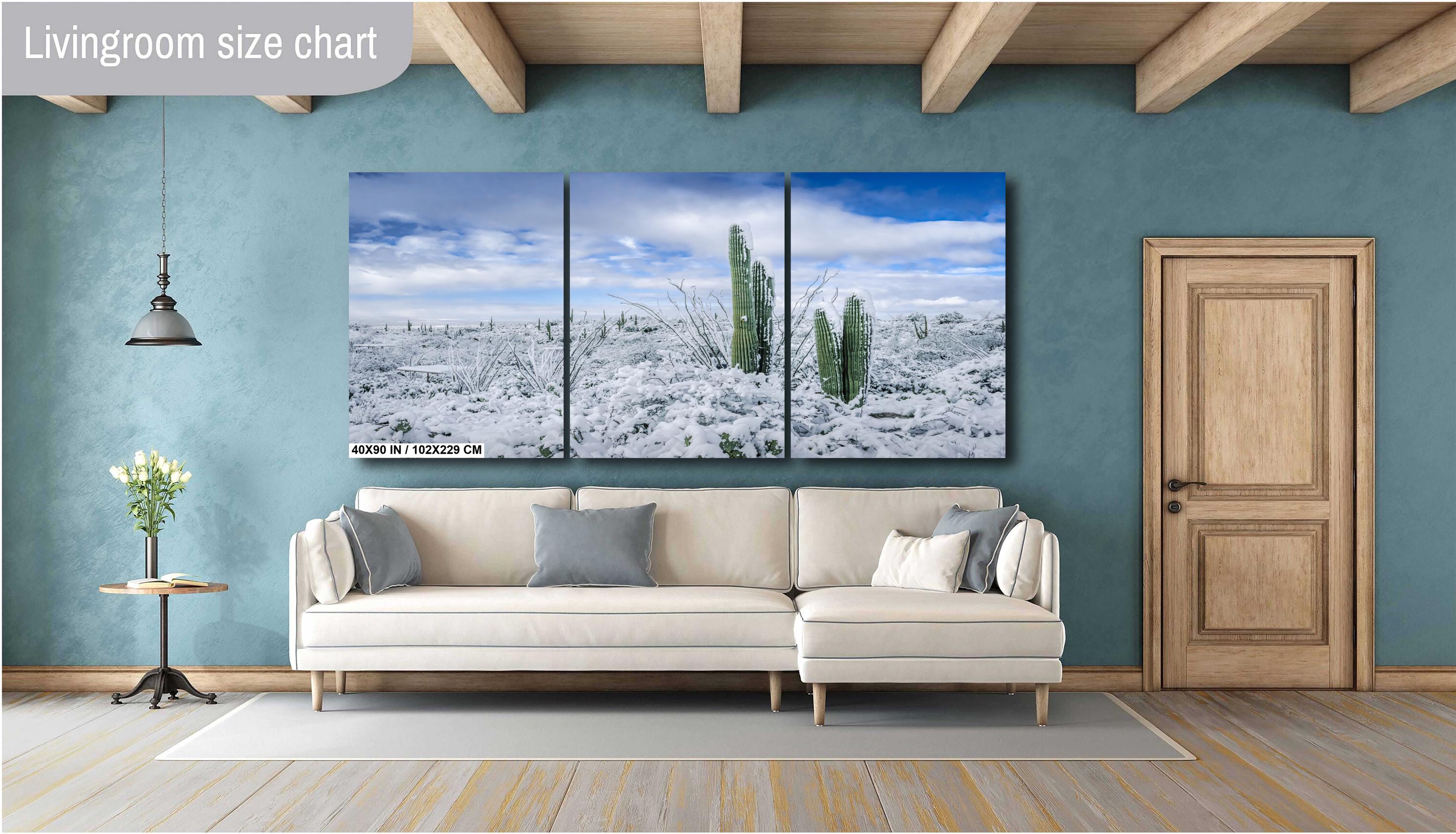 Saguaro National Park Winter Print: Arizona Desert Snow Scene