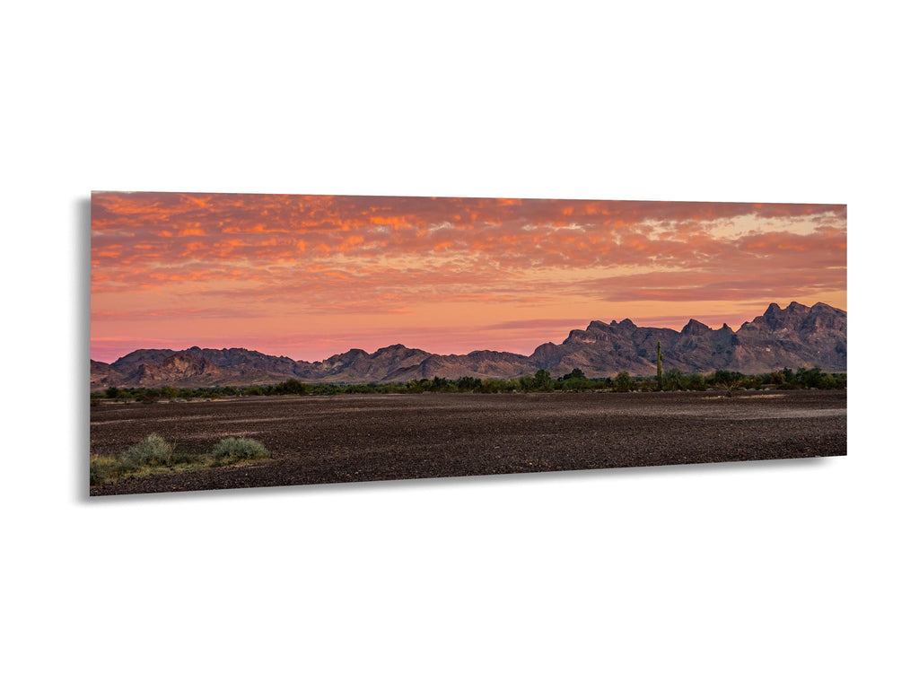Fiery Sonoran Desert Sunset with Saguaro, Quartzsite Arizona Photography Print