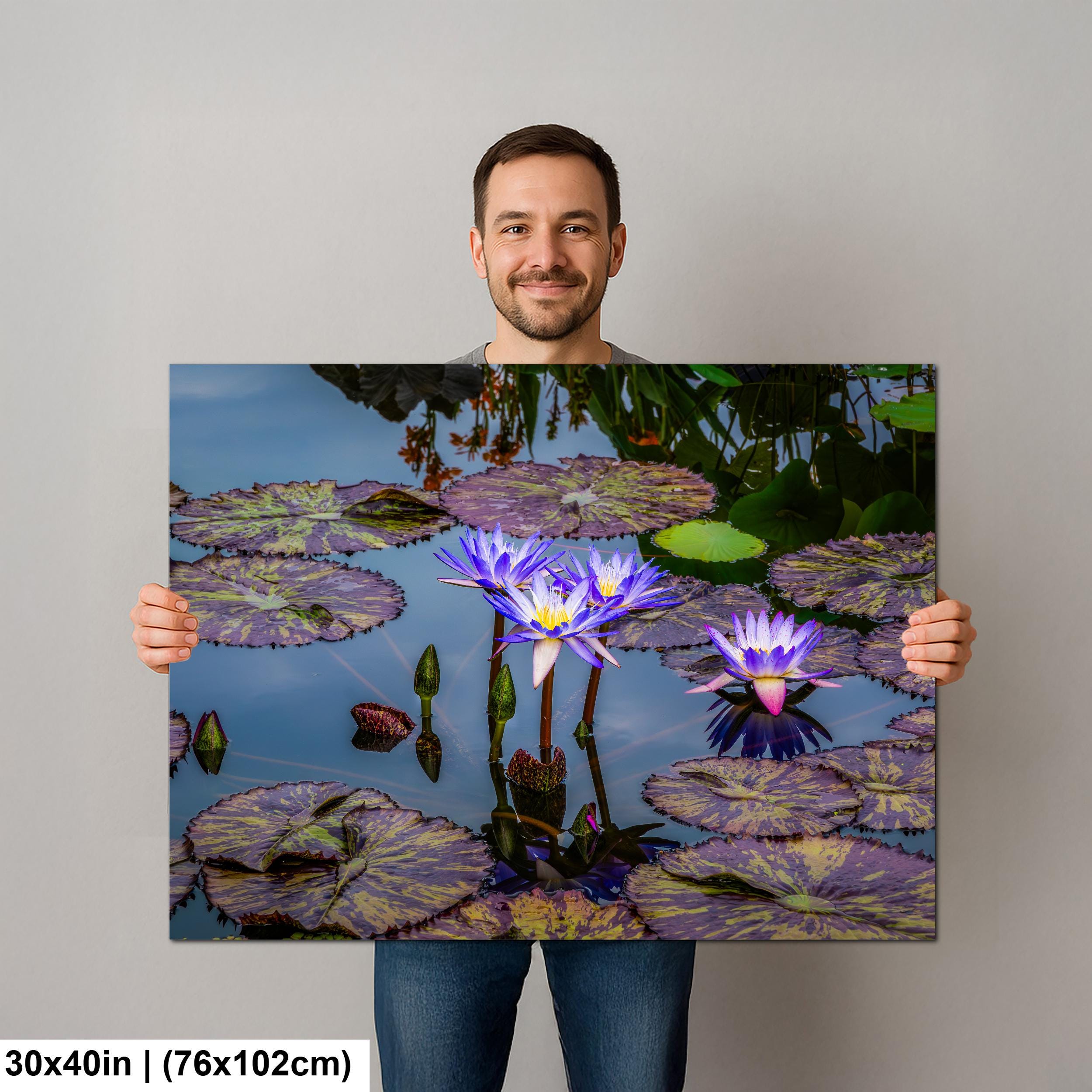 Purple Star Lotus: Botanical Water Lily Flower Pond Photography Wall Art