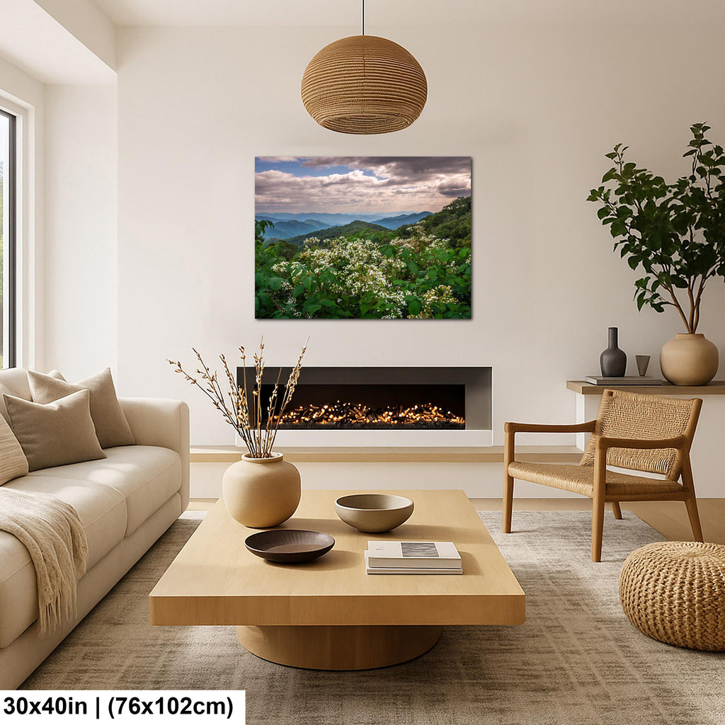 Mountain Meadow: Wildflowers Great Smoky Mountains Tennessee Photo Wall Art