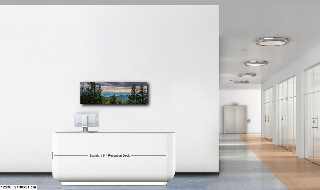 Through the Pines: Great Smoky Mountains National Park TN Photo Wall Art