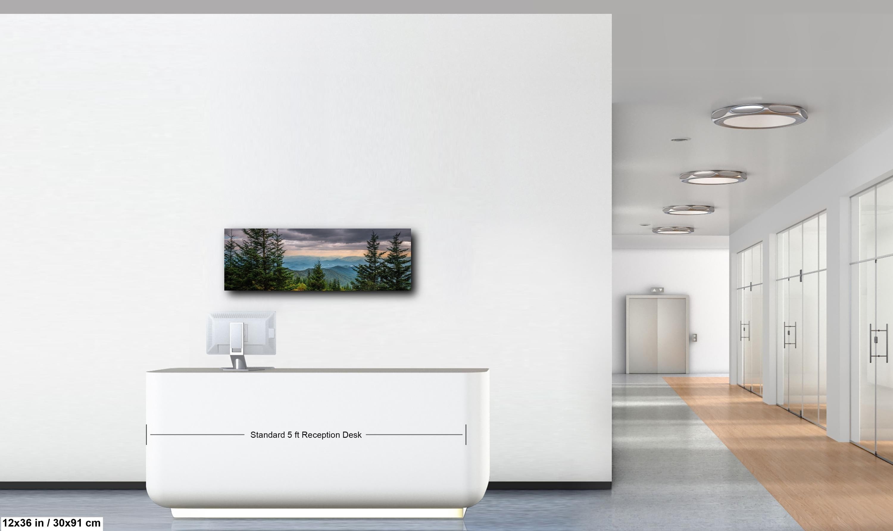 Through the Pines: Great Smoky Mountains National Park TN Photo Wall Art