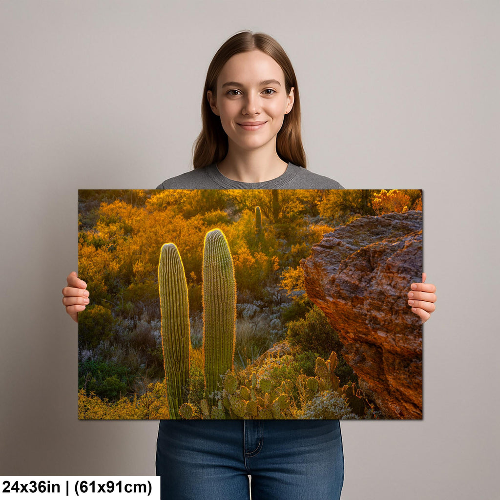 Golden Hour Saguaros Beside Desert Rock Formation Tucson Arizona Photography Print