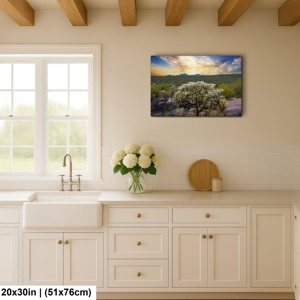 Sonoran Desert Sunset with Cholla Cactus - Catalina State Park Tucson Arizona Photography Print