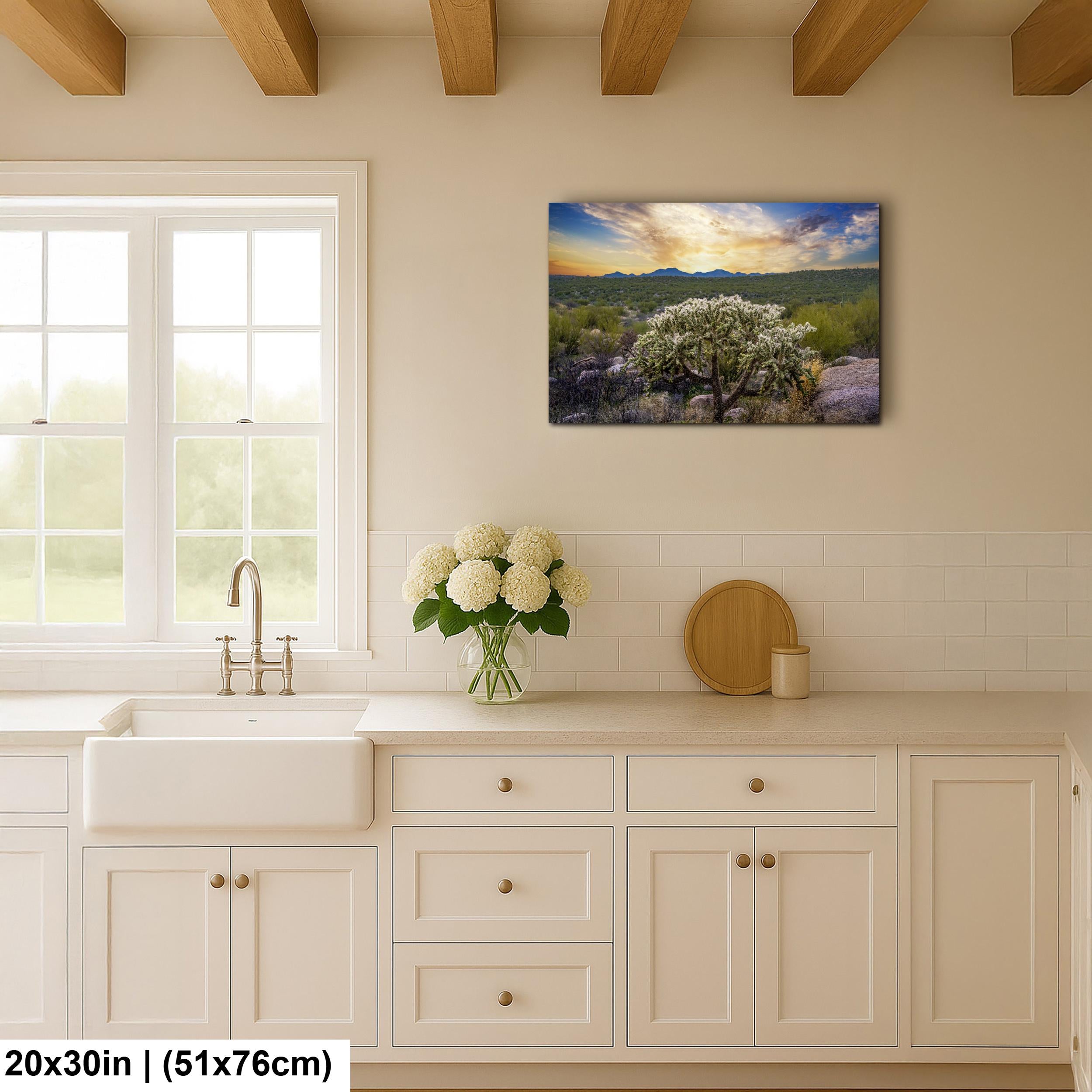 Sonoran Desert Sunset with Cholla Cactus - Catalina State Park Tucson Arizona Photography Print