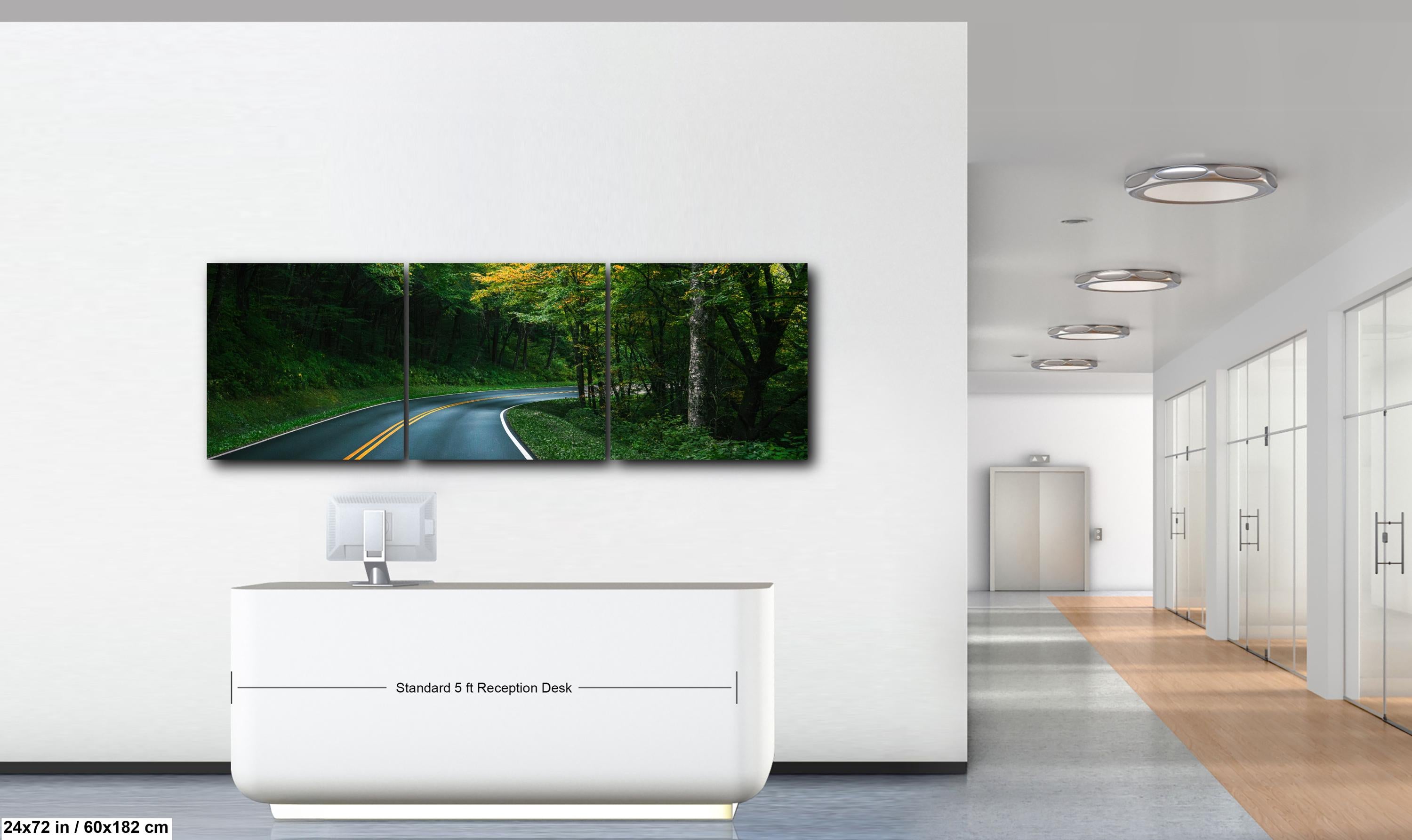 Forest Bend: Great Smoky Mountains National Park Road Photography Wall Art