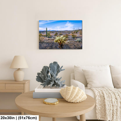 Teddy Bear Cholla in Bloom, Quartzsite Arizona Desert Landscape Photography Print