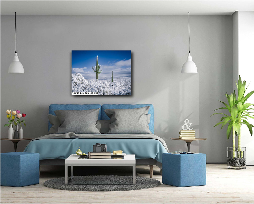Snowy Saguaro Cactus Print: Tucson Desert Winter Photography