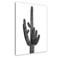 Black and white wall art print of a tall saguaro cactus with upright arms and ribbed textures.
