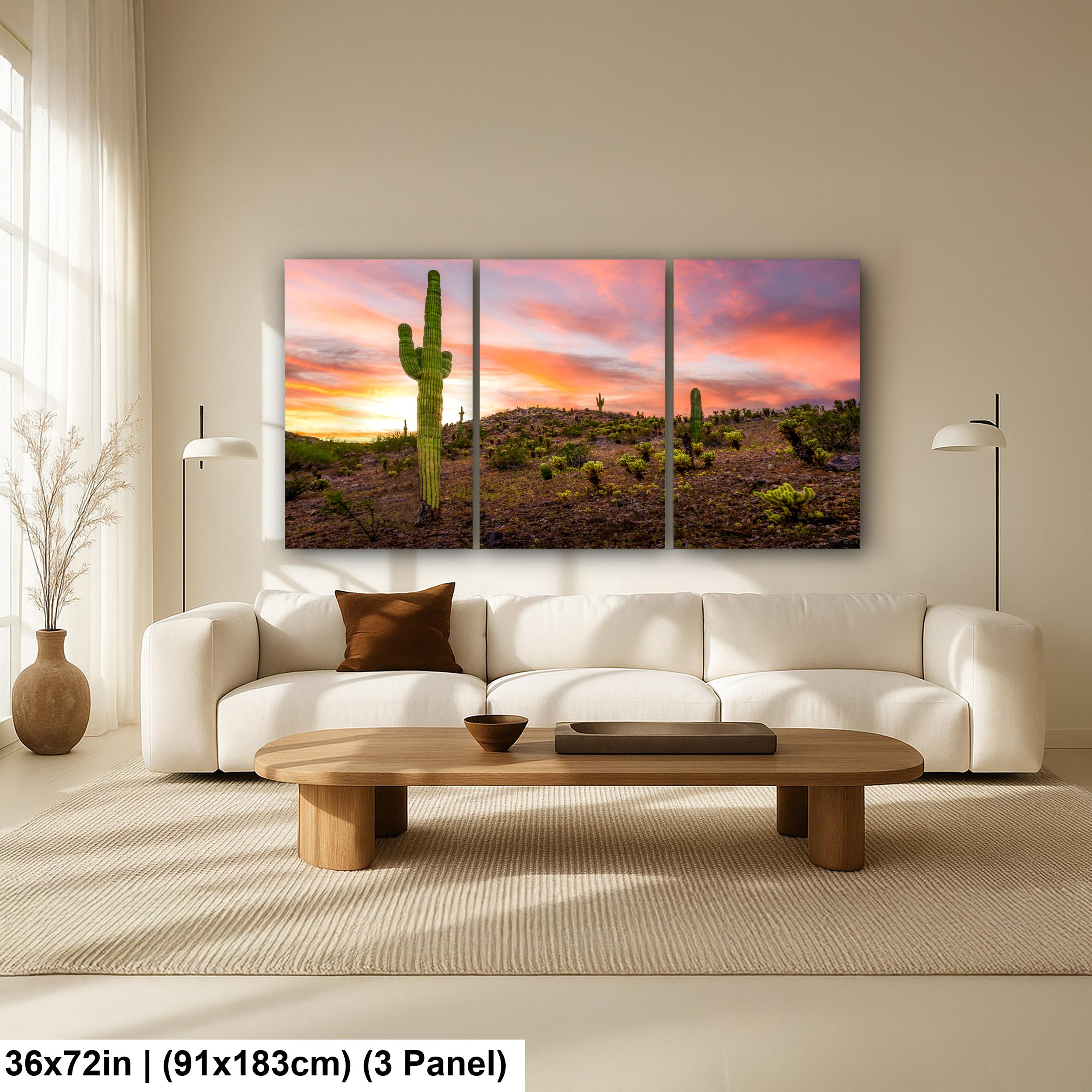 Towering Saguaro at Sunset - Sonoran Desert Casa Grande Arizona Photography Print