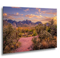 Sonoran Desert Trail Through Cholla Cactus - Tucson Arizona Mountain Sunset Photography Print