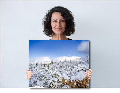 Saguaro Snow Print – Winter Desert Photography | Southwestern Cactus Wall Art