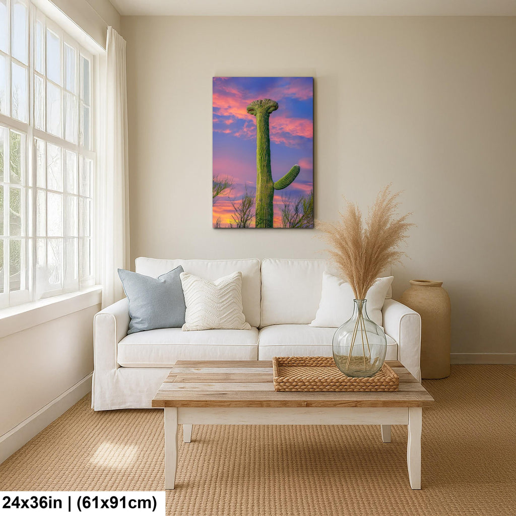 Crested Saguaro Cactus at Sunset - Saguaro National Park East Tucson Photography Print