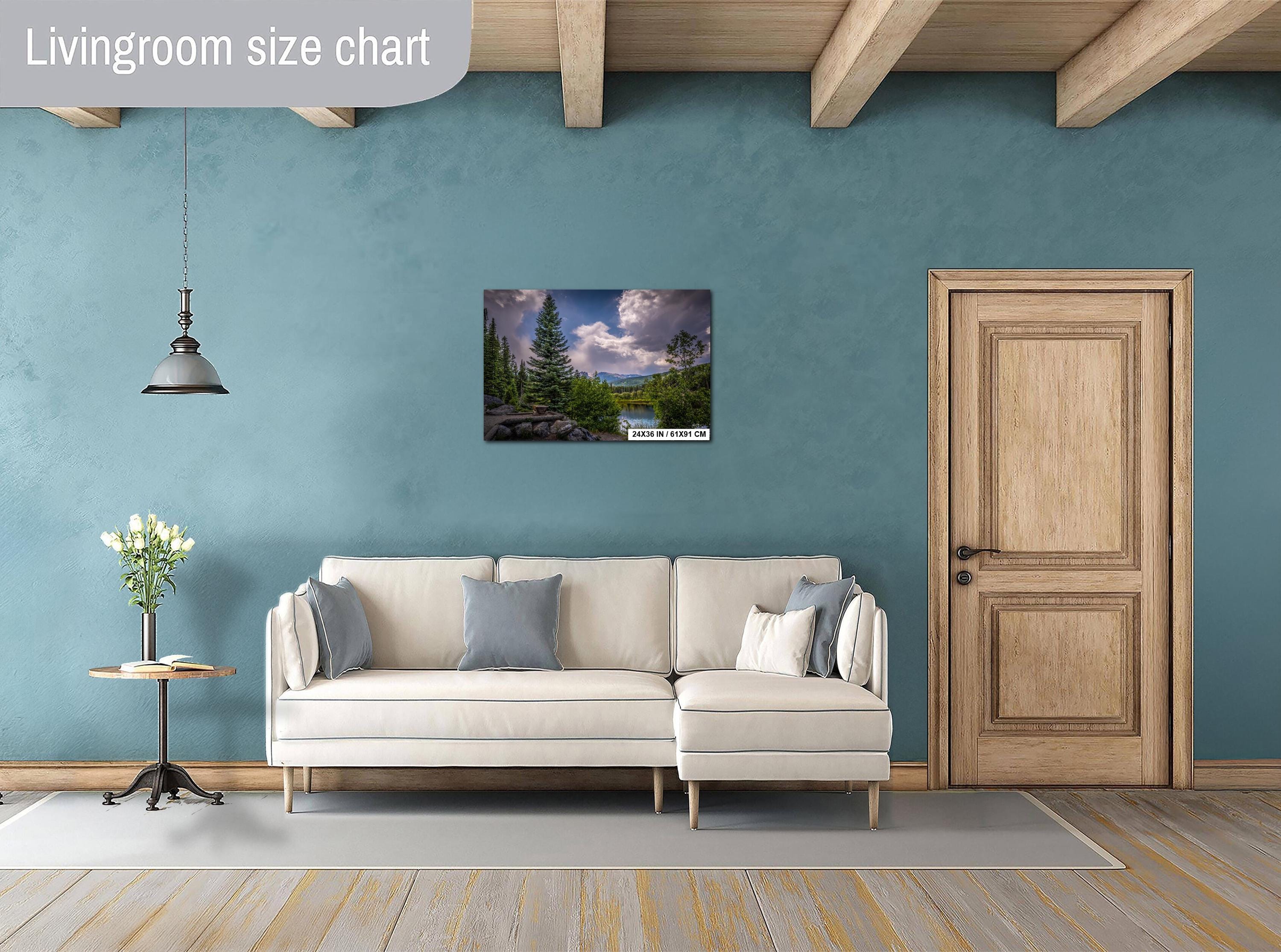 Rocky Mountain National Park Print: Colorado Cloud-Kissed Pines Photography