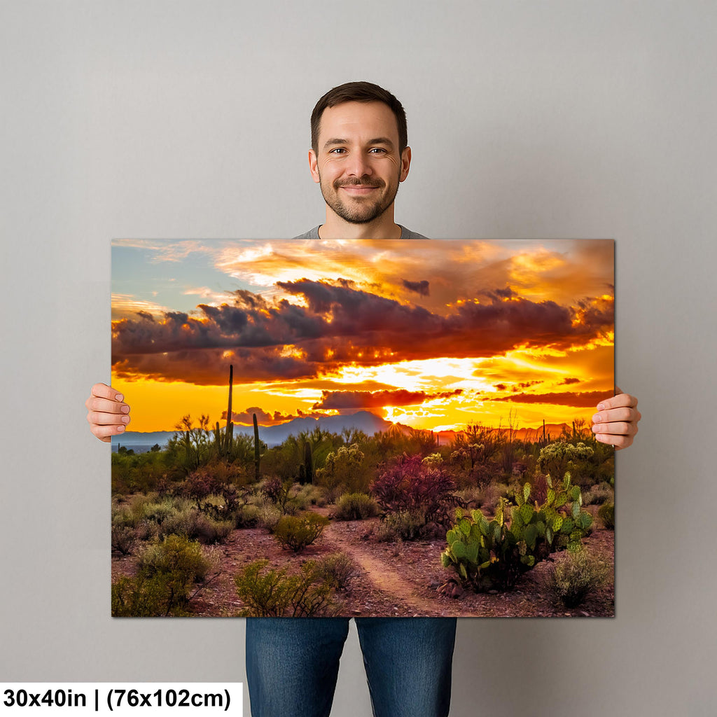 Fiery Sonoran Desert Sunset with Cactus, Tucson Mountain Park Arizona Photography Wall Art