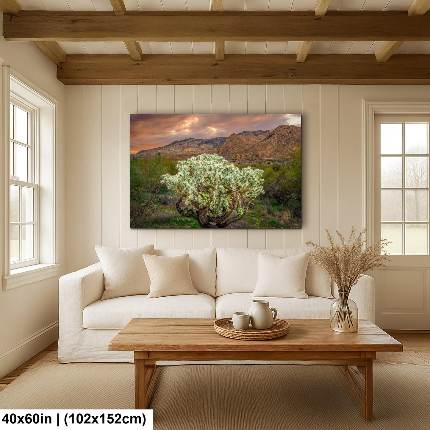 Cholla Cactus at Sunset - Catalina State Park Tucson Arizona Photography Print