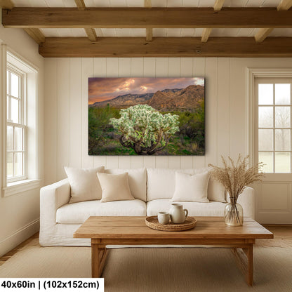 Cholla Cactus at Sunset - Catalina State Park Tucson Arizona Photography Print