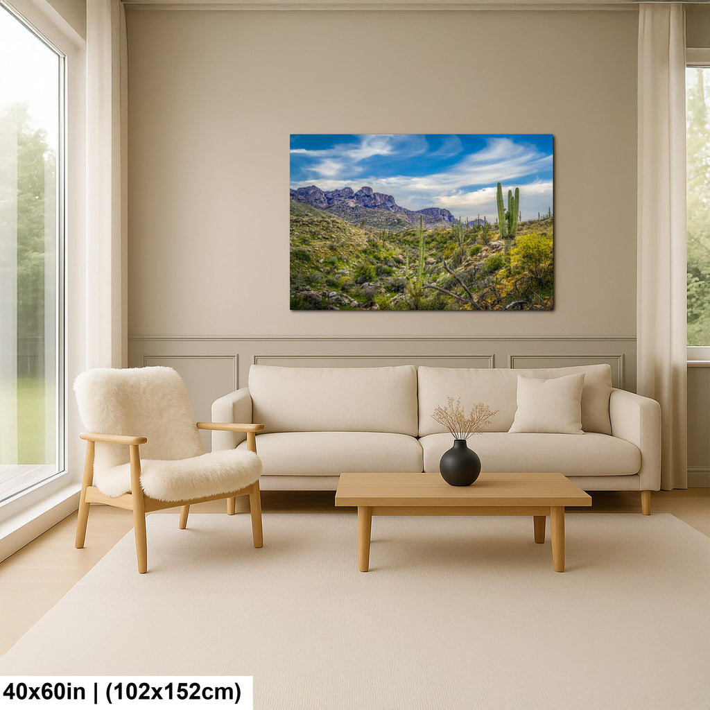 Sonoran Desert Valley with Saguaros and Mountains - Catalina State Park Tucson Arizona Photography Print