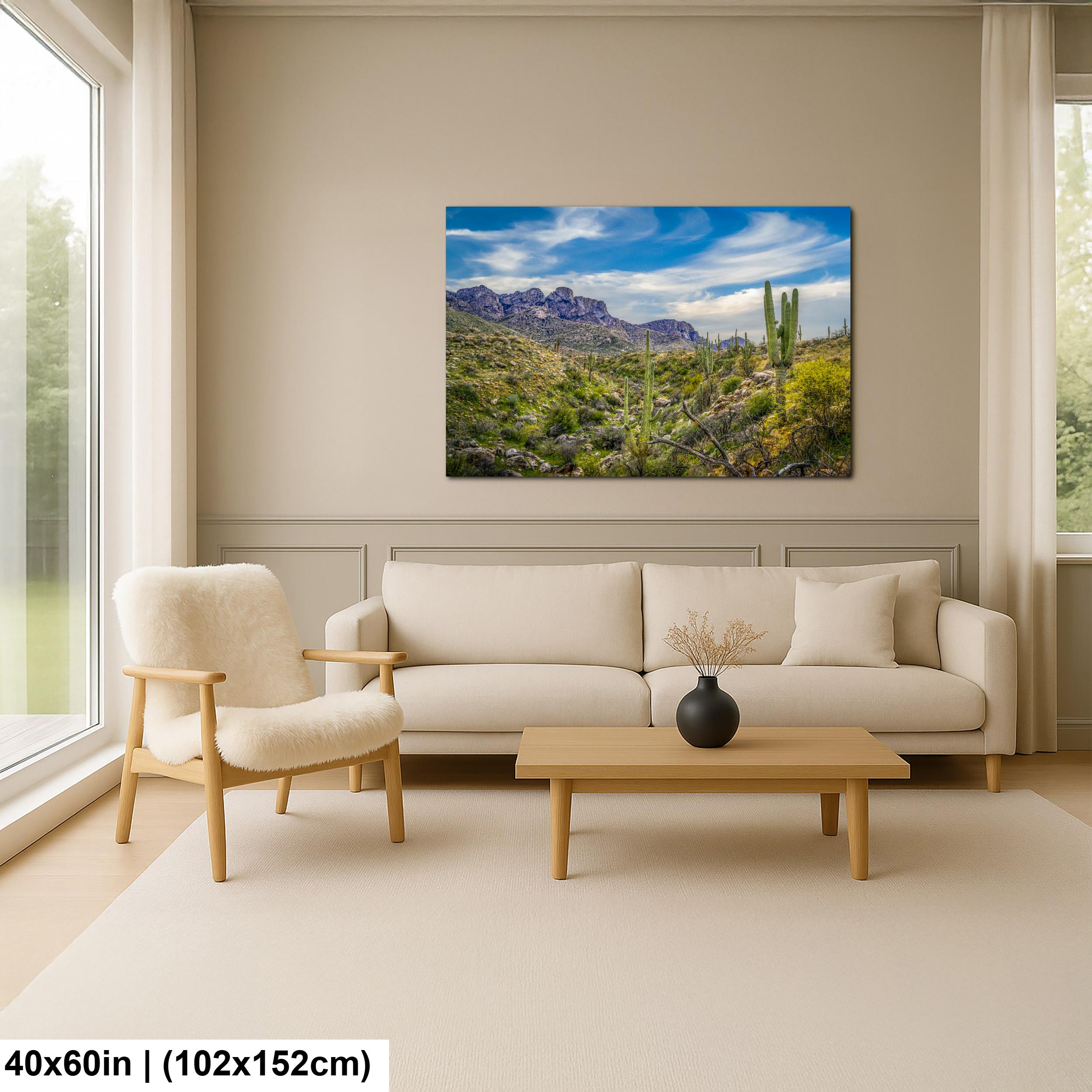 Sonoran Desert Valley with Saguaros and Mountains - Catalina State Park Tucson Arizona Photography Print