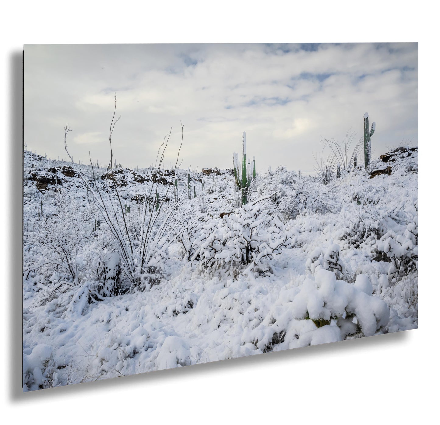 Saguaro Desert Wall Art – Winter Cactus Print | Rare Snowfall Photography Tucson