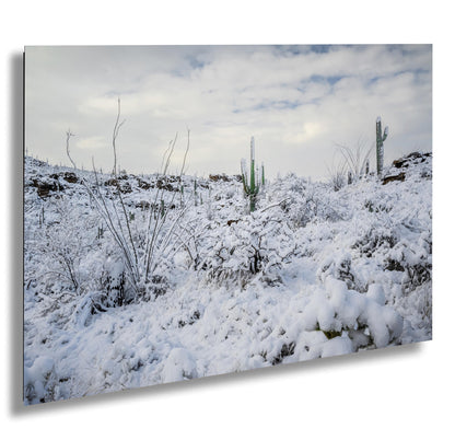 Saguaro Desert Wall Art – Winter Cactus Print | Rare Snowfall Photography Tucson