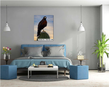 Harris's Hawk Sunset Print: Arizona Desert Bird Photography, Saguaro Cactus Wall Art
