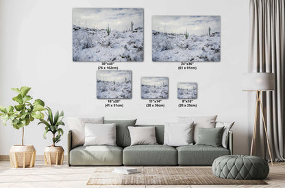 Saguaro Desert Wall Art – Winter Cactus Print | Rare Snowfall Photography Tucson