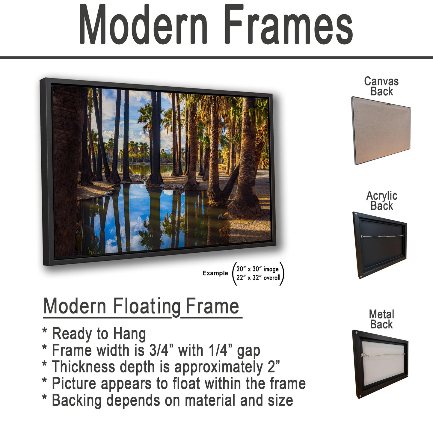 Agua Caliente Park Palm Tree Oasis Reflections - Tucson Arizona Photography Print