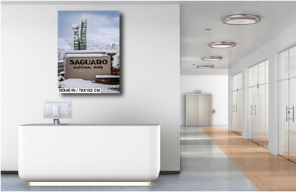 Saguaro National Park Wall Art – Snowy Desert Landscape | Tucson Arizona Decor