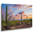 Sonoran Desert Sunset Photography Print, Saguaro Cactus Arizona Landscape, Tucson Mountain Wall Art, Southwest Home Decor