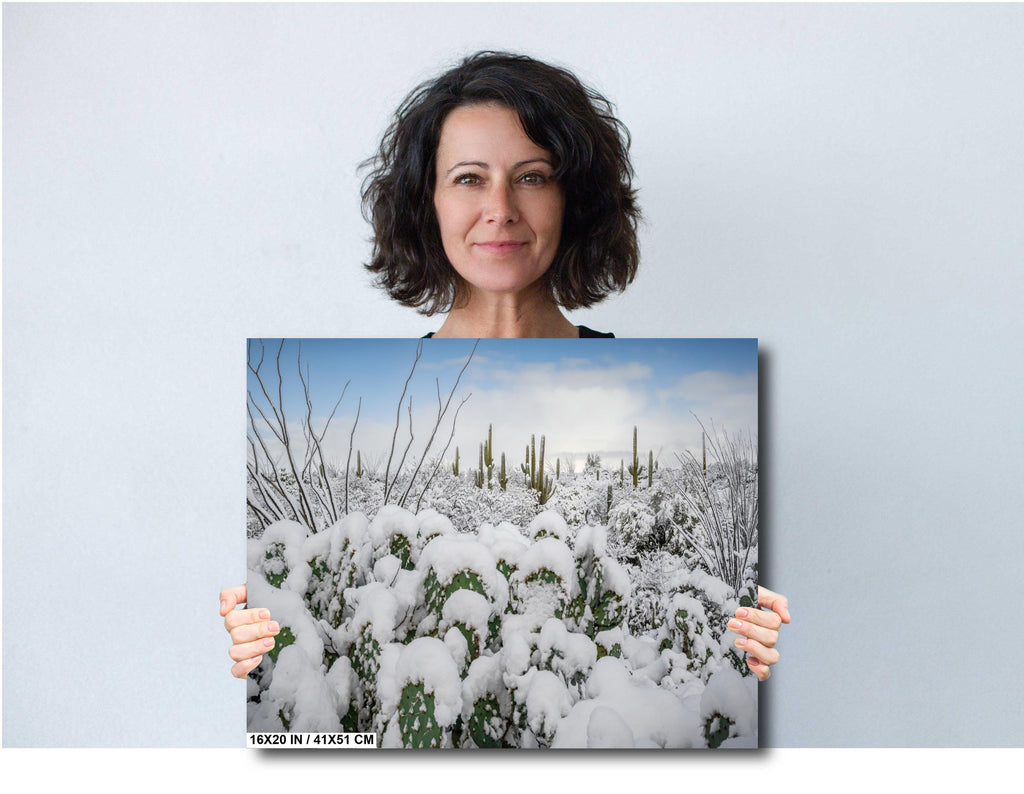 Saguaro National Park Winter Snow Print: Desert Cacti Wall Art