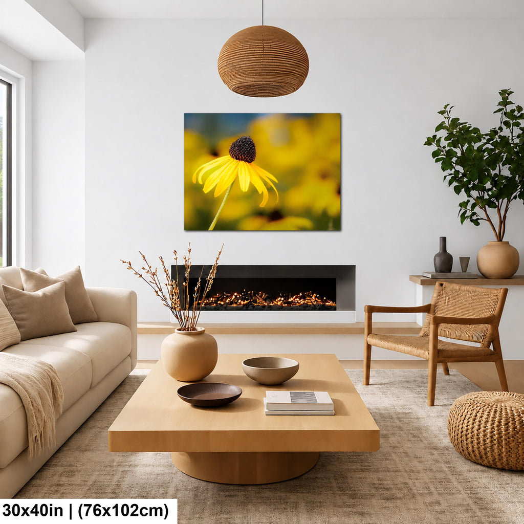Sunlit Petals: Black-Eyed Susans Yellow Floral Photography Wall Art