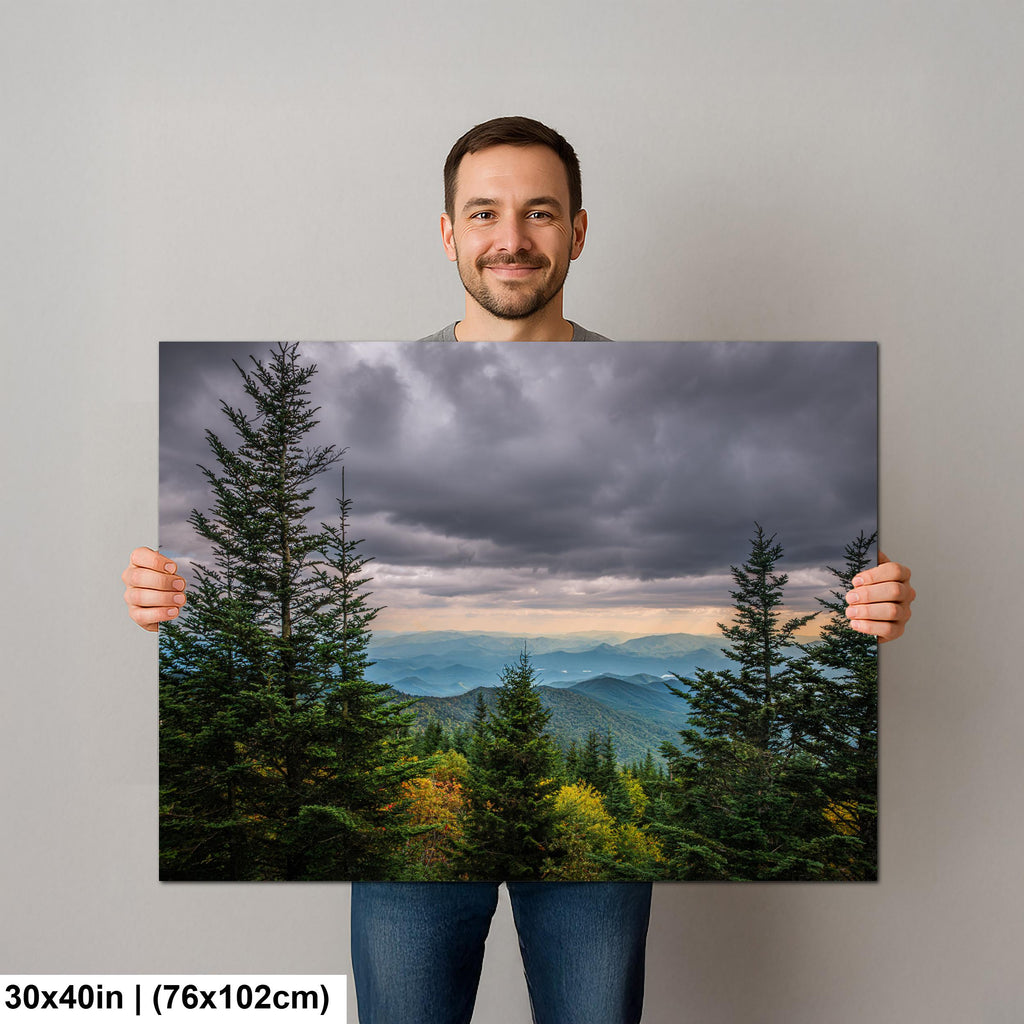 Through the Pines: Great Smoky Mountains National Park TN Photo Wall Art