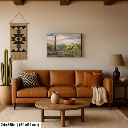 Saguaro and Cholla Desert Landscape, Tucson Arizona Photography Print, Southwest Wall Art, Sonoran Desert Decor