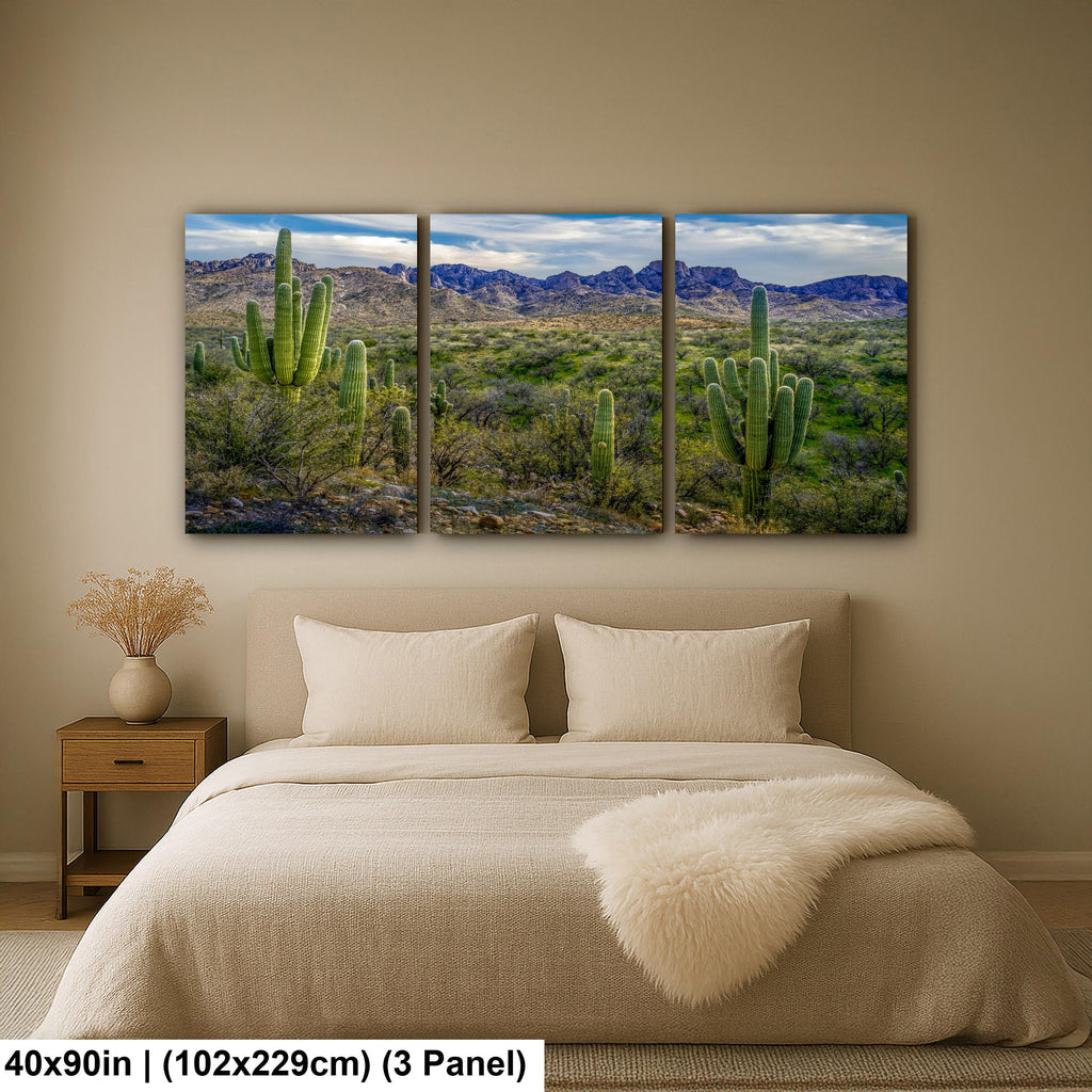 Sonoran Desert Landscape with Saguaros and Mountain Ridge - Tucson Arizona Photography Print