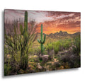 Sonoran Desert sunset with saguaros, native brush, rocky terrain, and distant Arizona mountains