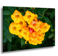 Yellow Bells Flower Print: Tucson Botanical Photography, Arizona Nature Art