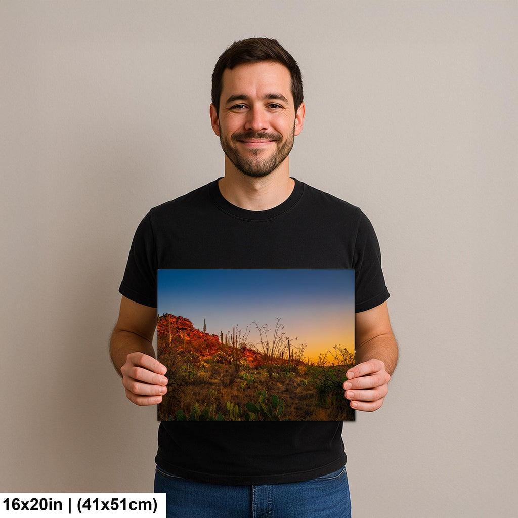 Sonoran Desert Sunset with Saguaros and Ocotillo - Saguaro National Park East Tucson Photography Print