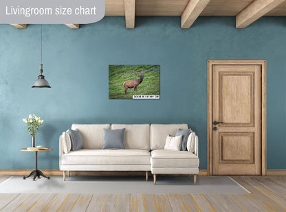 Bull Elk in Alpine Wildflowers Rocky Mountain National Park Colorado Photo Print, Wildlife Nature Wall Art Home Decor Aluminum/Metal/Canvas