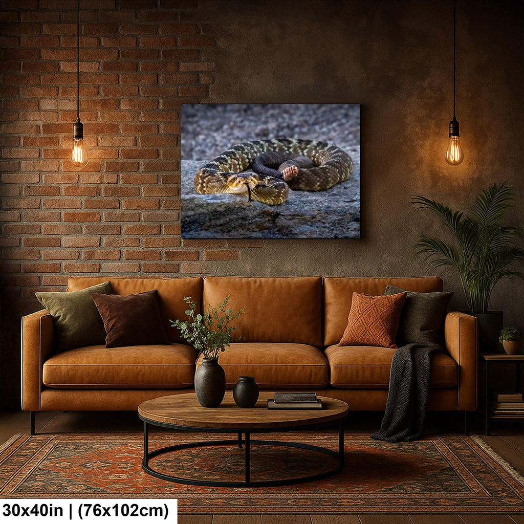 Black-Tailed Rattlesnake Print – Tucson Desert Wildlife Art | Ready to Hang Canvas