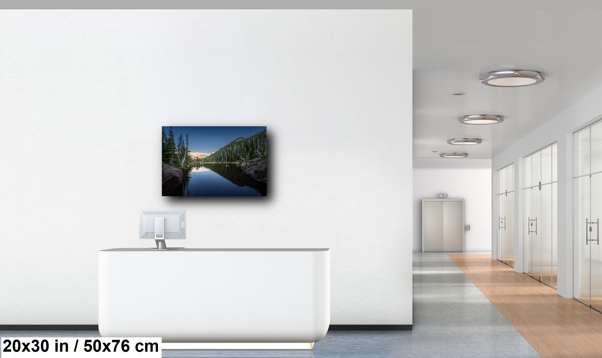 Dream Lake Pines Print: Rocky Mountain National Park Wall Art