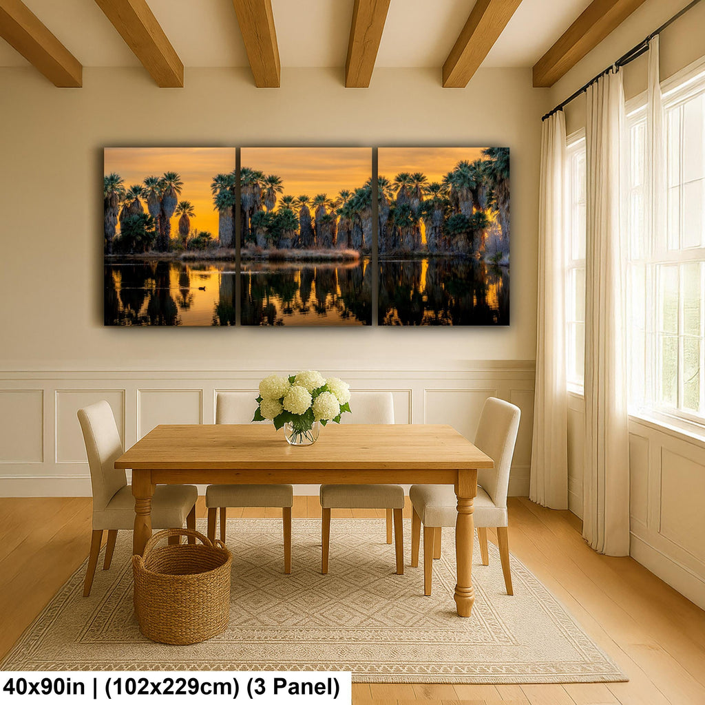 Agua Caliente Desert Palm Oasis Sunset Tucson Arizona Photography Print