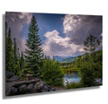 Rocky Mountain National Park Print: Colorado Cloud-Kissed Pines Photography