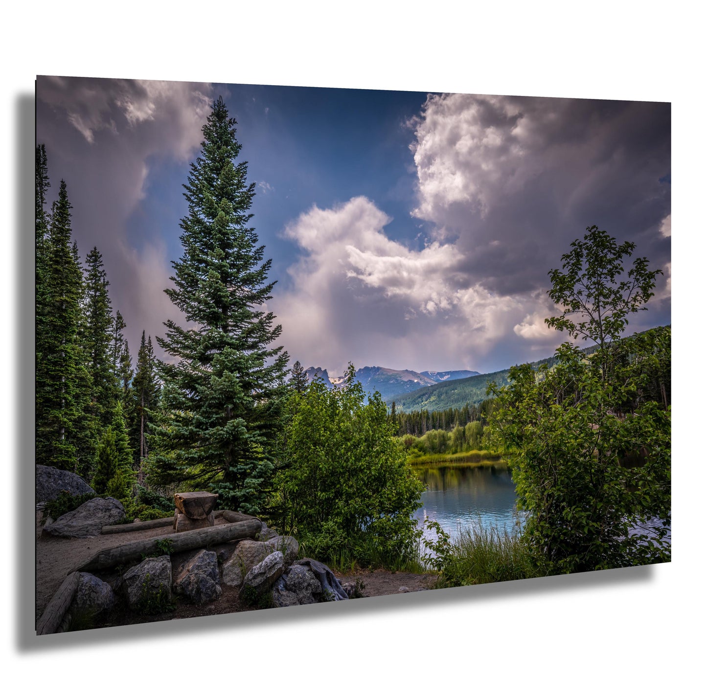 Cloud-Kissed Pines in Rocky Mountain National Park, Colorado Print Wall Art Photography Aluminum/Acrylic/Metal/Canvas Southwestern Decor