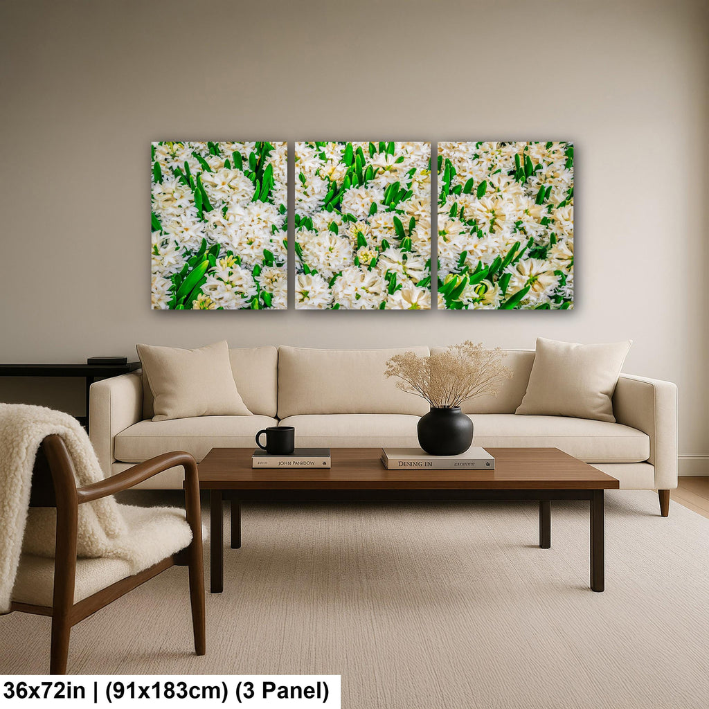 Spring Whites: White Hyacinth Flowers Botanical Photography Wall Art