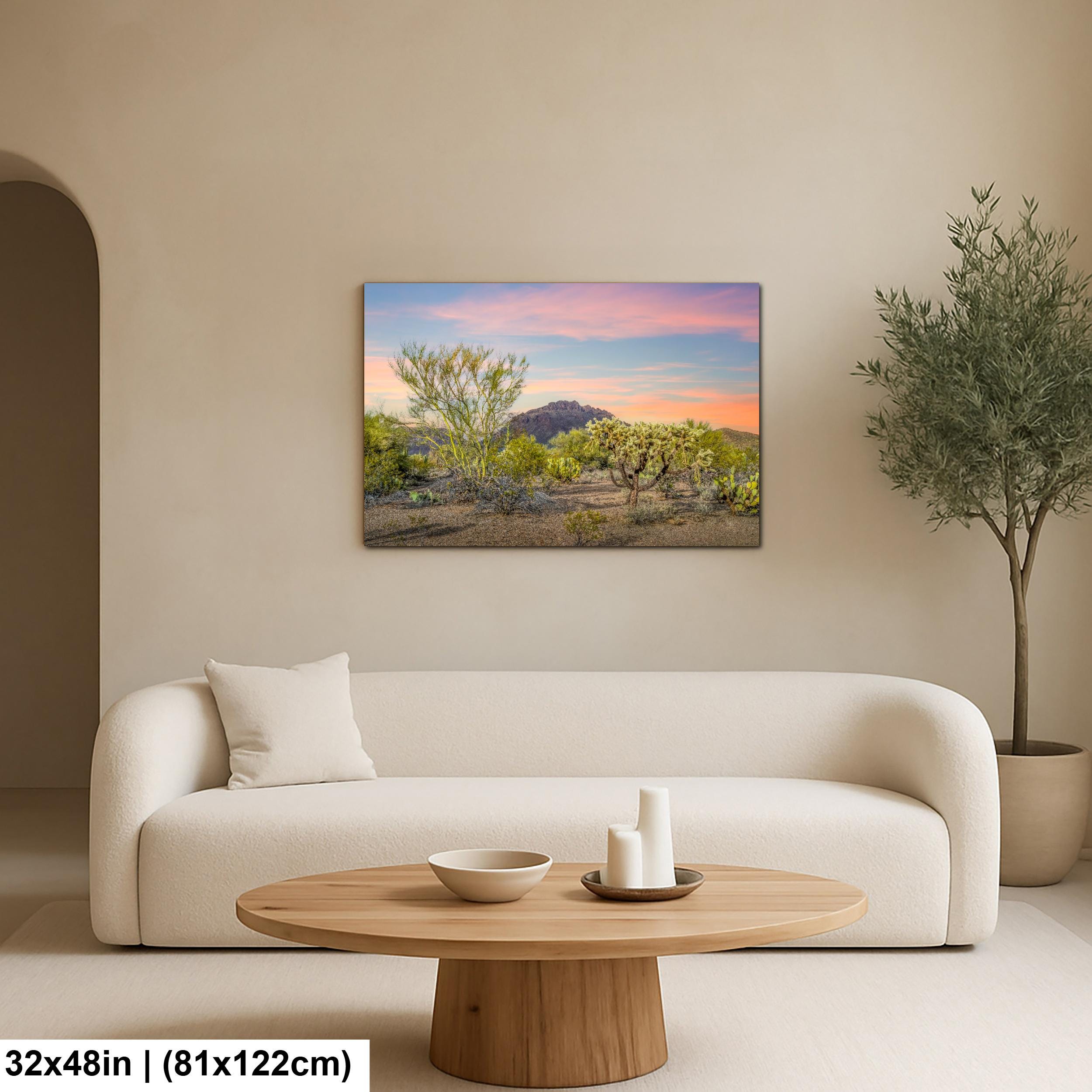 Cholla Cactus Sunset with Mountain View, Tucson Arizona Photography Print