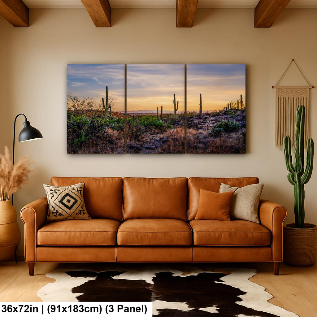 Sonoran Desert Valley Sunset with Saguaros - Saguaro National Park East Tucson Photography Print