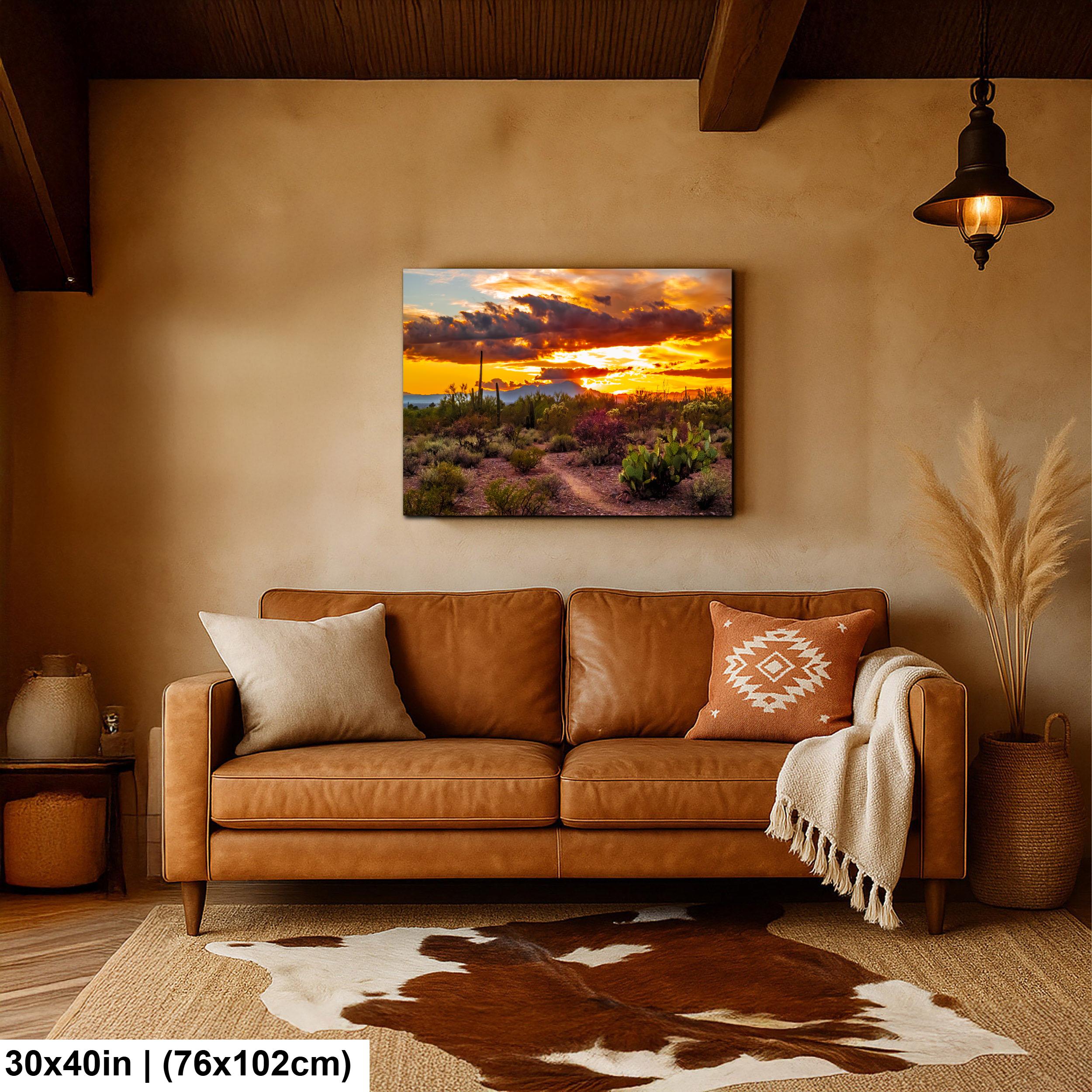 Fiery Sonoran Desert Sunset with Cactus, Tucson Mountain Park Arizona Photography Wall Art